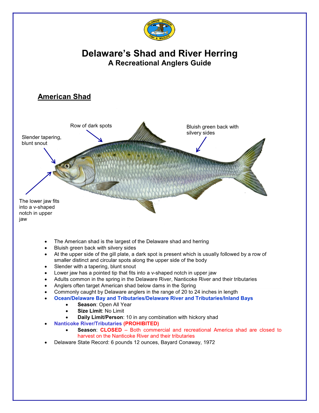 Delaware's Shad and River Herring