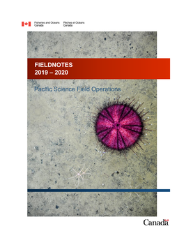 Fieldnotes 2019 – 2020