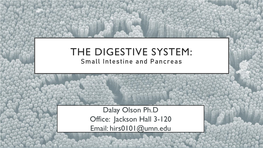 THE DIGESTIVE SYSTEM: Small Intestine and Pancreas