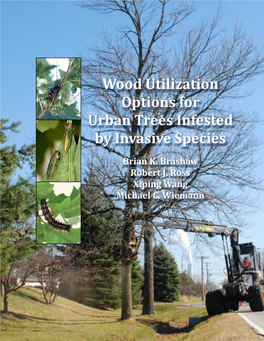 Wood Utilization Options for Urban Trees Infested by Invasive Species