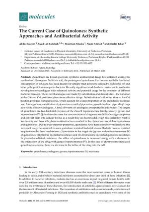 The Current Case of Quinolones: Synthetic Approaches and Antibacterial Activity
