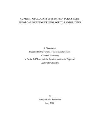 Current Geologic Issues in New York State: from Carbon Dioxide Storage to Landsliding