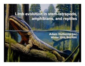 Limb Evolution in Stem-Tetrapods, Amphibians, and Reptiles