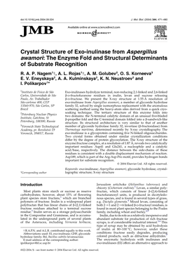 Crystal Structure of Exo-Inulinase from Aspergillus Awamori: the Enzyme Fold and Structural Determinants of Substrate Recognition