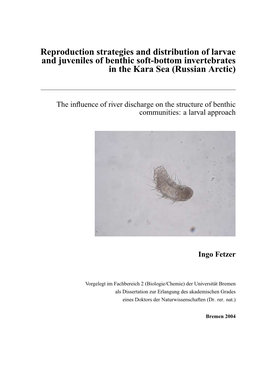 Reproduction Strategies and Distribution of Larvae and Juveniles of Benthic Soft-Bottom Invertebrates in the Kara Sea (Russian Arctic)