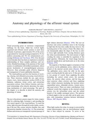 Anatomy and Physiology of the Afferent Visual System