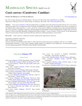 Canis Aureus (Carnivore: Canidae)