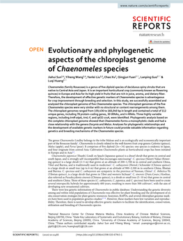 Evolutionary and Phylogenetic Aspects of the Chloroplast Genome