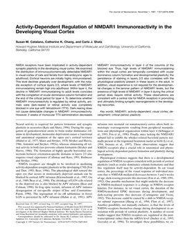 Activity-Dependent Regulation of NMDAR1 Immunoreactivity in the Developing Visual Cortex