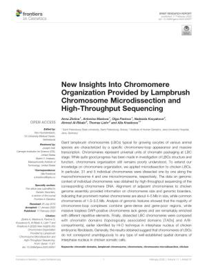 New Insights Into Chromomere Organization Provided by Lampbrush Chromosome Microdissection and High-Throughput Sequencing