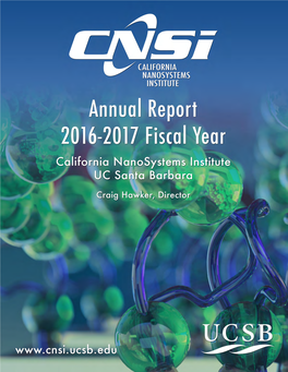 CNSI Annual Report (2016-17)