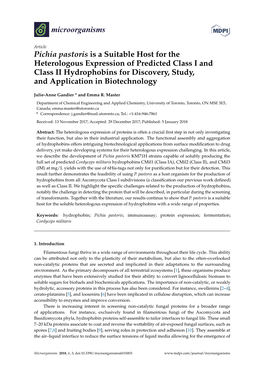 Pichia Pastoris Is a Suitable Host for the Heterologous Expression of Predicted Class I and Class II Hydrophobins for Discovery