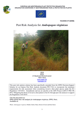 Pest Risk Analysis for Andropogon Virginicus