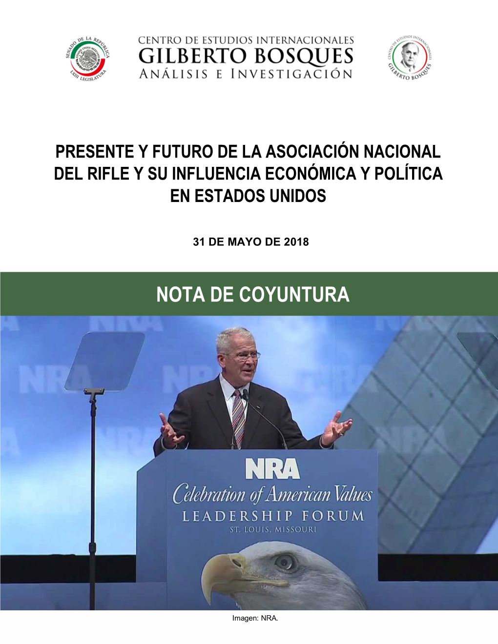 Presente Y Futuro De La Asociación Nacional Del Rifle Y Su Influencia Económica Y Política En Estados Unidos 