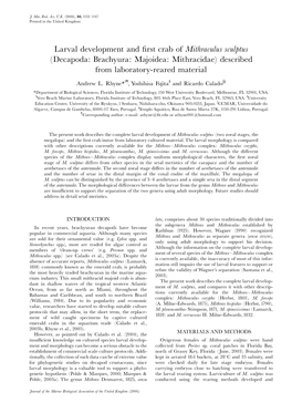 Larval Development and First Crab of Mithraculus Sculptus