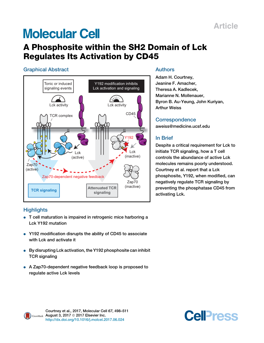 A Phosphosite Within the SH2 Domain of Lck Regulates Its Activation by CD45