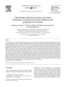 Mitochondrial Phylogeny of Pine Cone Beetles (Scolytinae, Conophthorus) and Their Ayliation with Geographic Area and Host