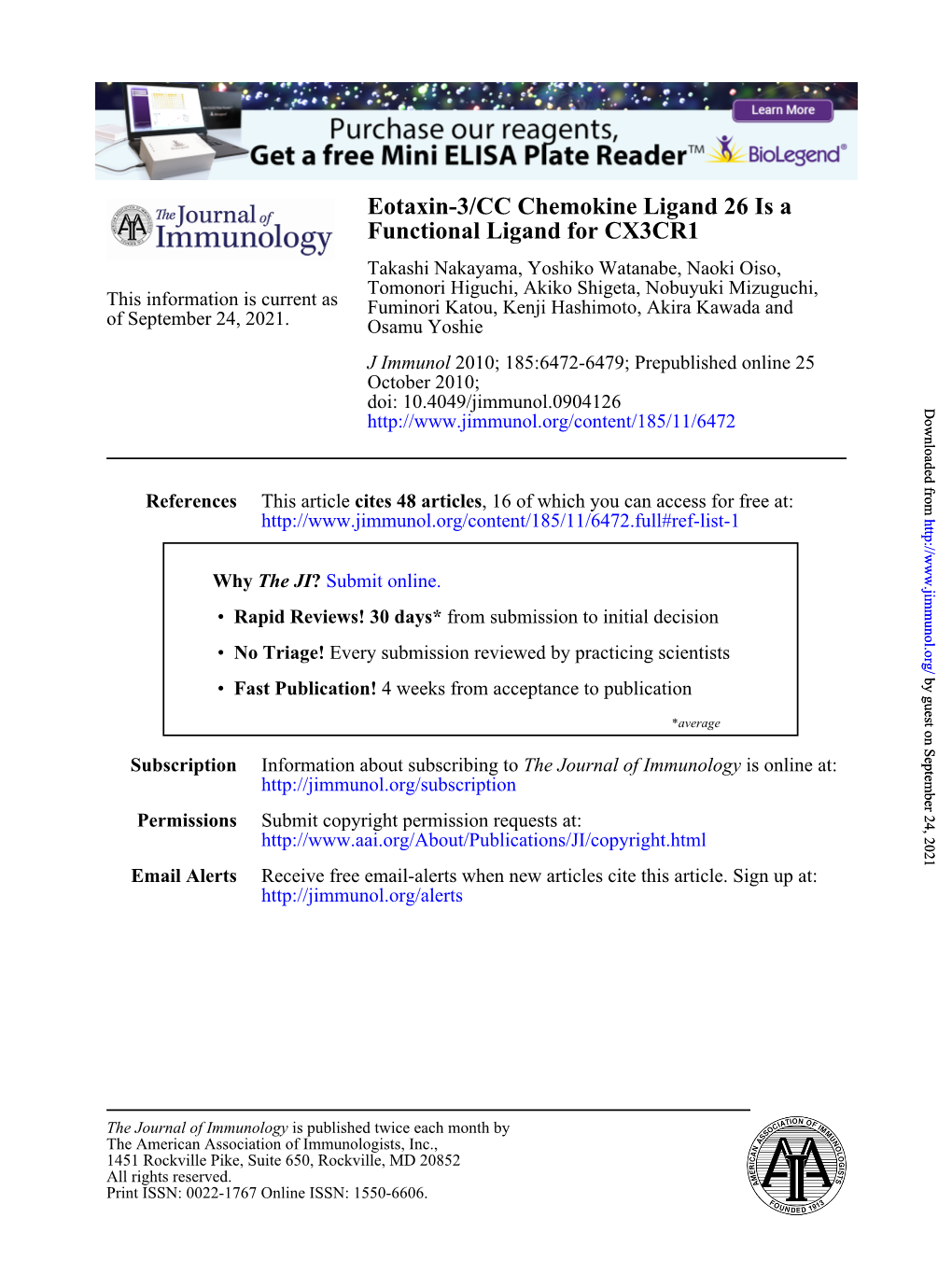 Functional Ligand for CX3CR1 Eotaxin-3/CC Chemokine Ligand