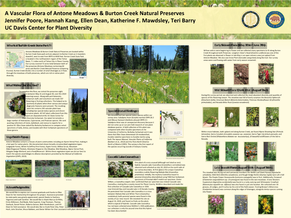 A Vascular Flora of Antone Meadow and Burton Creek Natural