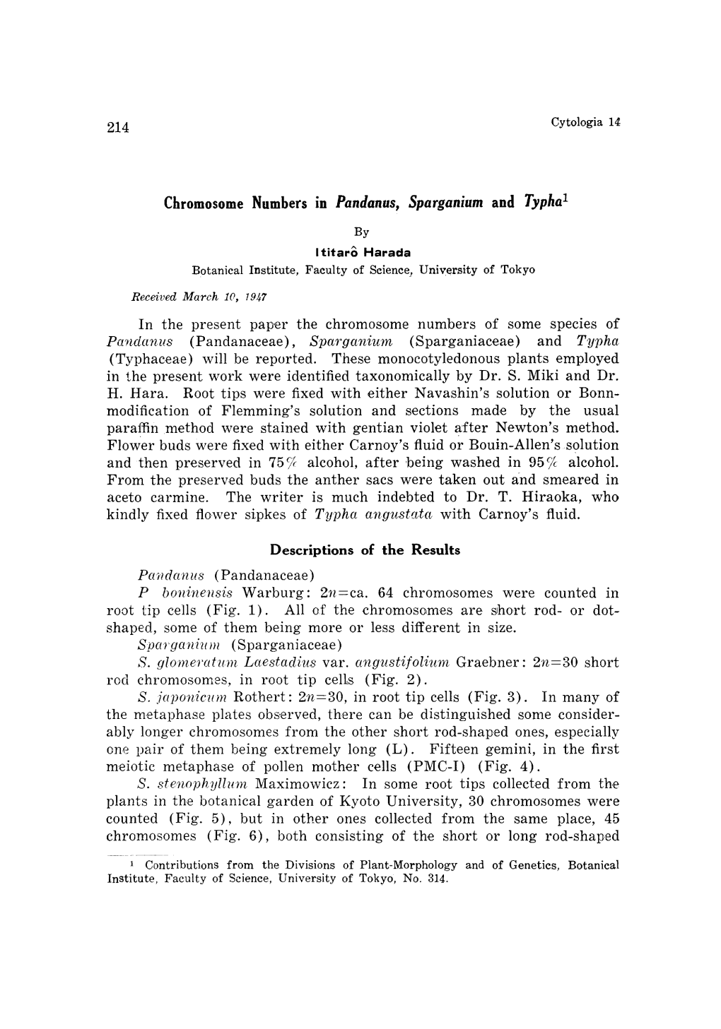 Chromosome Numbers in Pandanus, Sparganium and Typhal in the Present Paper the Chromosome Numbers of Some Species of Pandanus