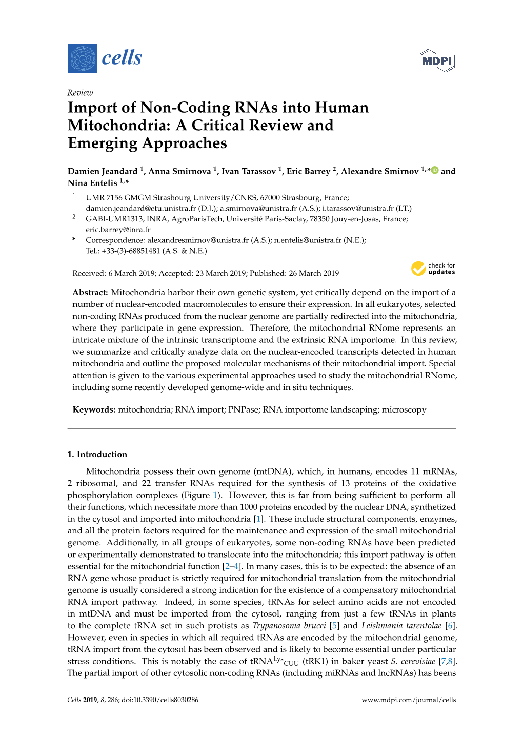 Import of Non-Coding Rnas Into Human Mitochondria: a Critical Review and Emerging Approaches