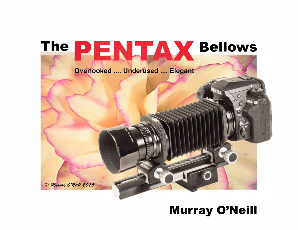 The Pentax Bellows, “Overlooked, Underused and Elegant” Murray O’Neill