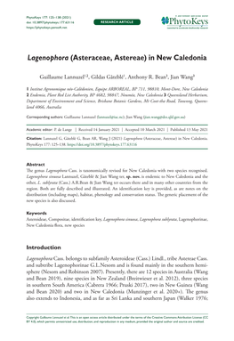 Lagenophora (Asteraceae, Astereae) in New Caledonia