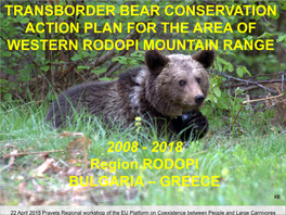 Transborder Bear Conservation Action Plan Between BUL and GR for The