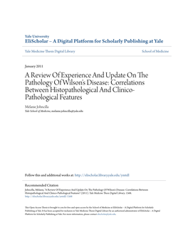 A Review of Experience and Update on the Pathology Of