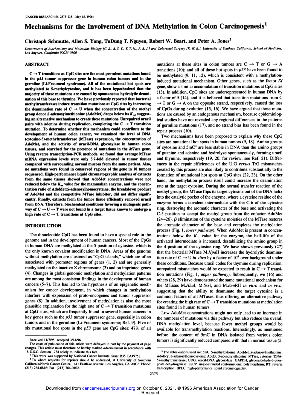 Mechanisms for the Involvement of DNA Methylation in Colon Carcinogenesis1