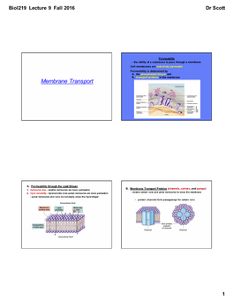 Biol219lec9membrane Transport