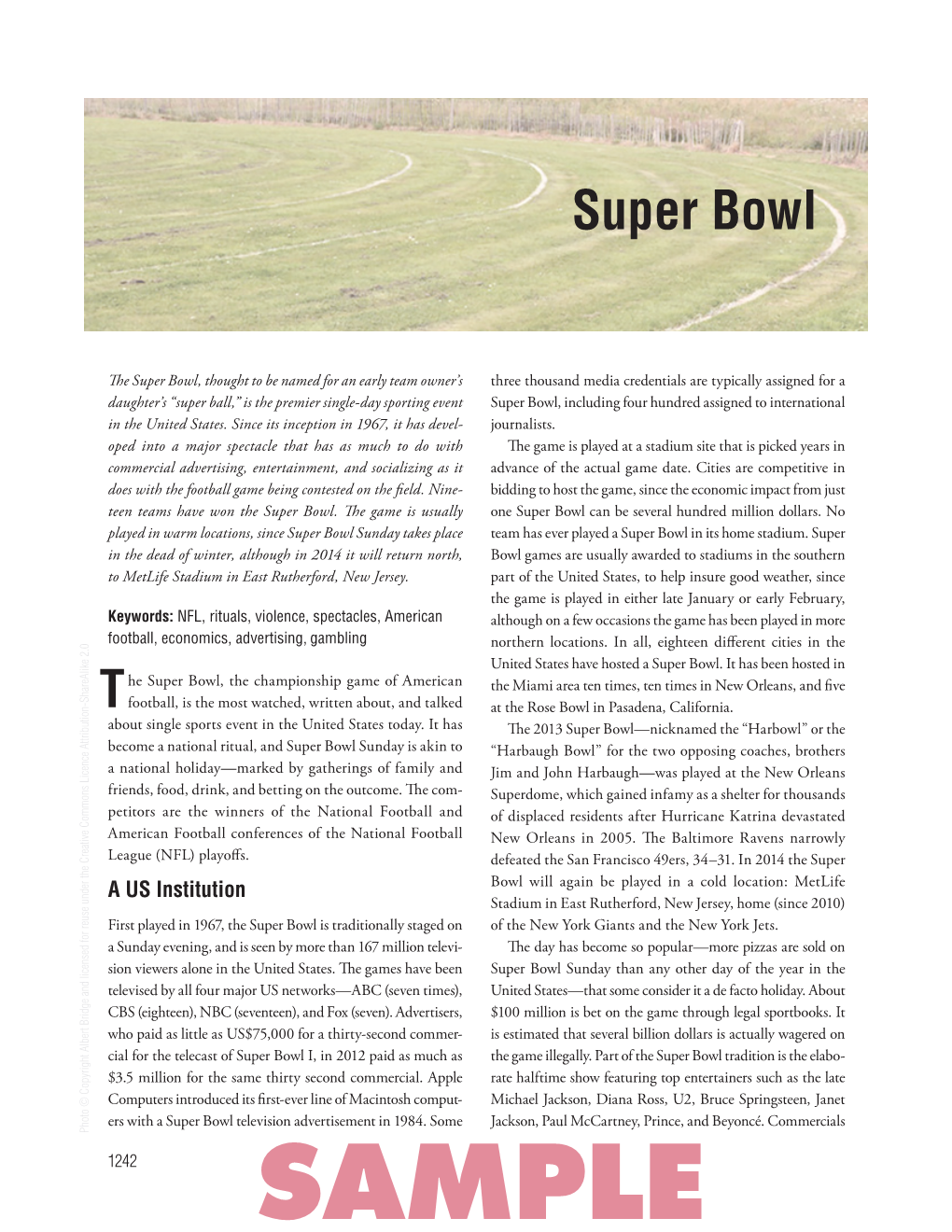 Sample SUPER BOWL • 1243