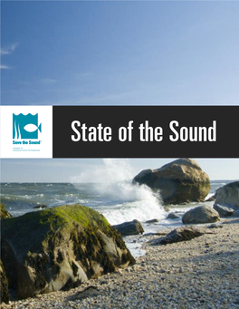 State of the Sound