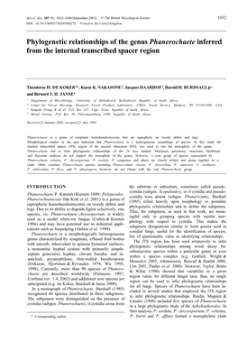 Phylogenetic Relationships of the Genus Phanerochaete Inferred from the Internal Transcribed Spacer Region