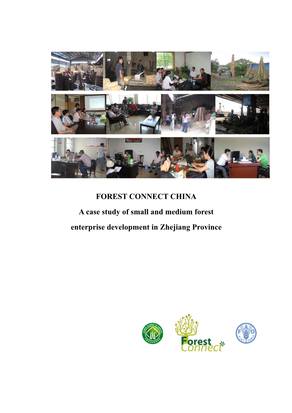 A Case Study of Small and Medium Forest Enterprise Development in Zhejiang Province