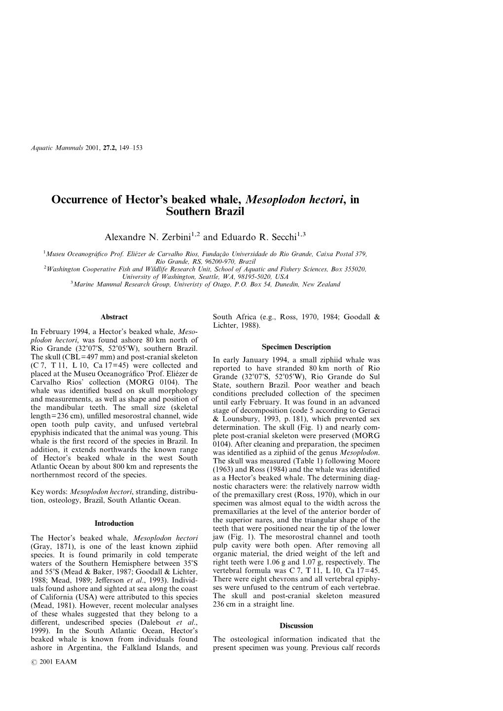 Occurrence of Hector's Beaked Whale, Mesoplodon Hectori, in Southern