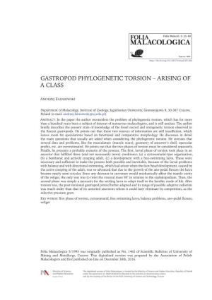 Gastropod Phylogenetic Torsion – Arising of a Class