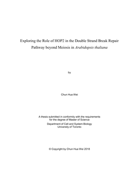 Exploring the Role of HOP2 in the Double Strand Break Repair Pathway Beyond Meiosis in Arabidopsis Thaliana