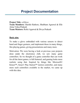 Project Documentation