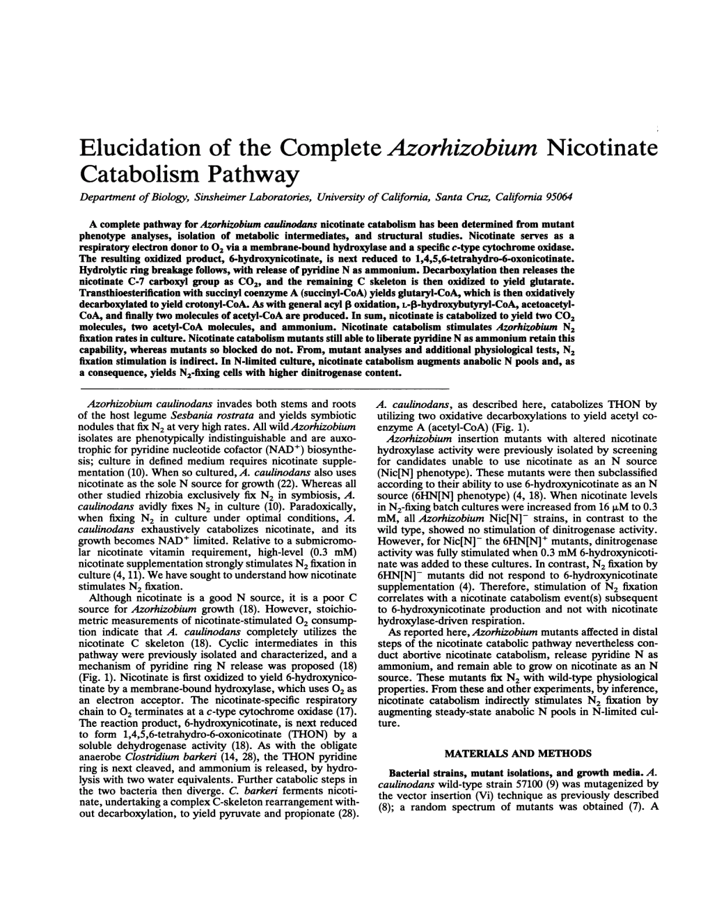 Elucidation of the Complete Azorhizobium Nicotinate