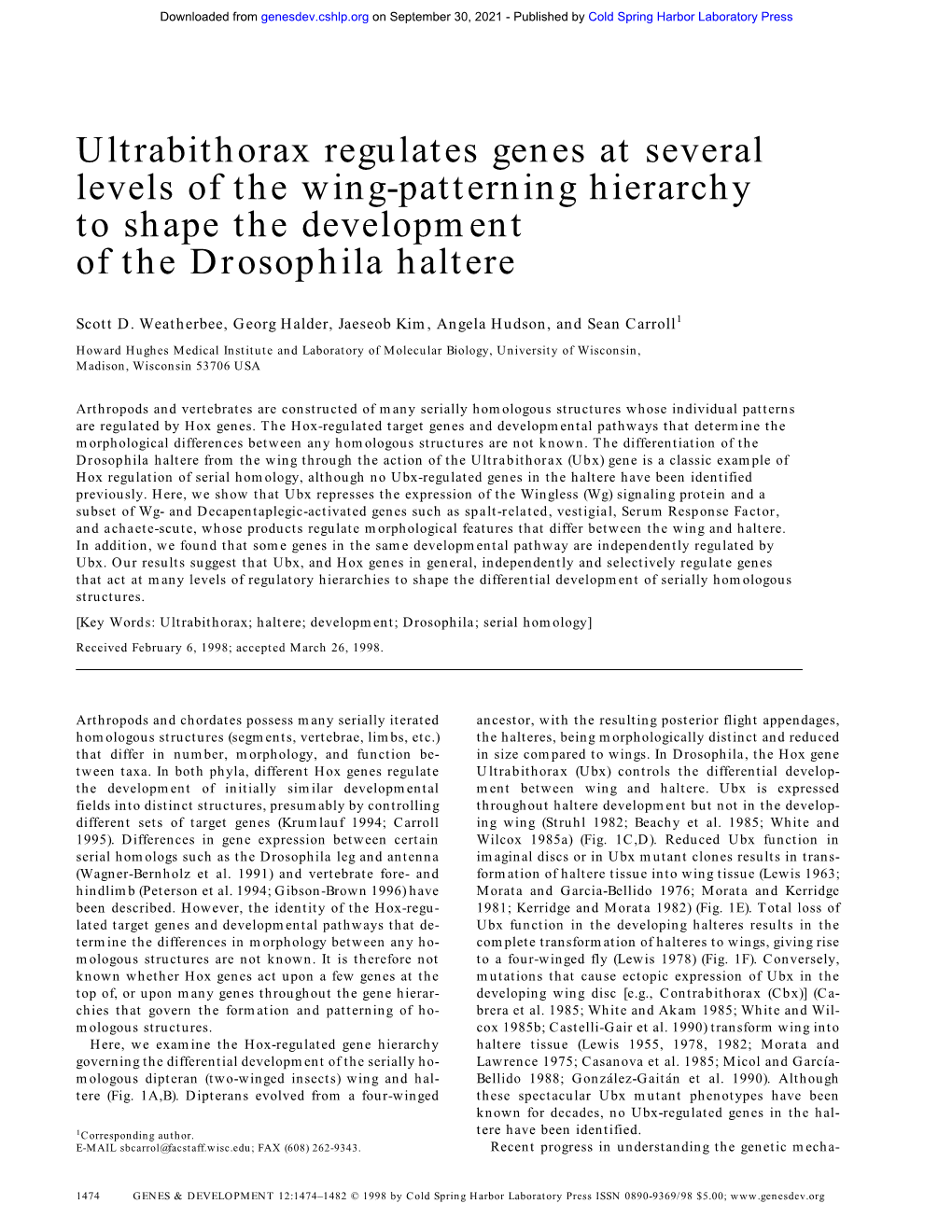 Ultrabithorax Regulates Genes at Several Levels of the Wing-Patterning Hierarchy to Shape the Development of the Drosophila Haltere