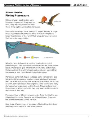 Flying Pterosaurs
