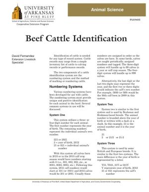 Beef Cattle Identification