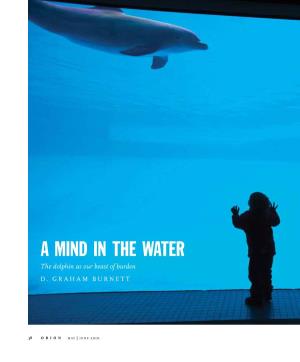 A Mind in the Water: the Dolphin As Our Beast of Burden