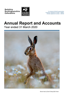 Annual Report and Accounts Year Ended 31 March 2020