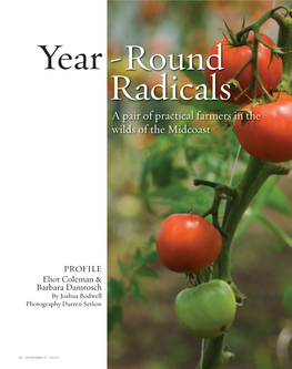 Year-Round Radicals (Pdf)