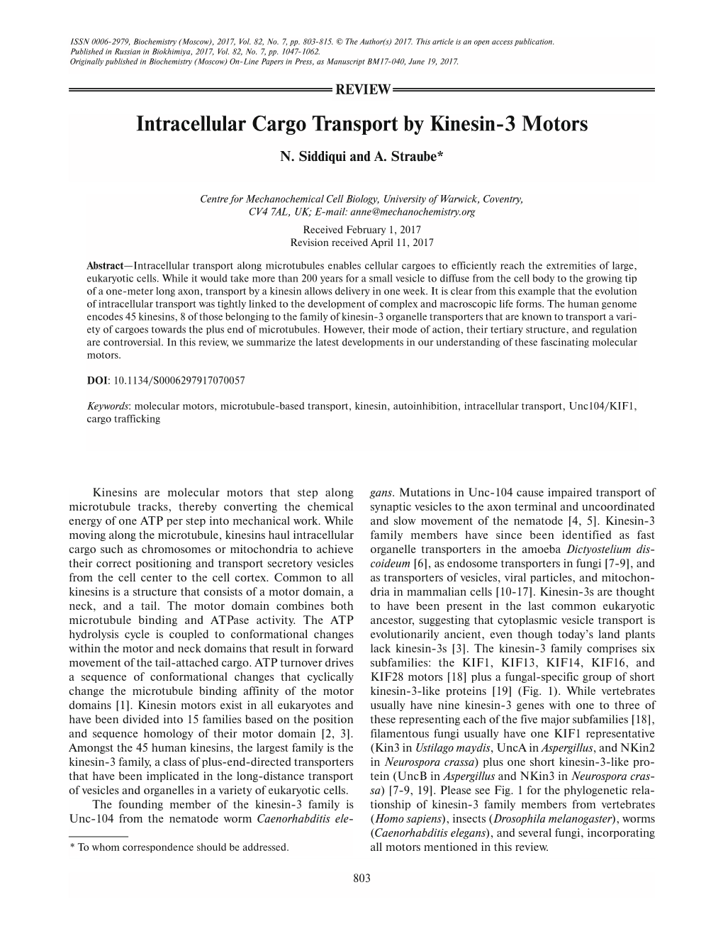 Intracellular Cargo Transport by Kinesin-3 Motors