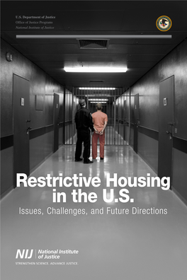 Restrictive Housing in the US: Issues, Challenges, and Future Directions