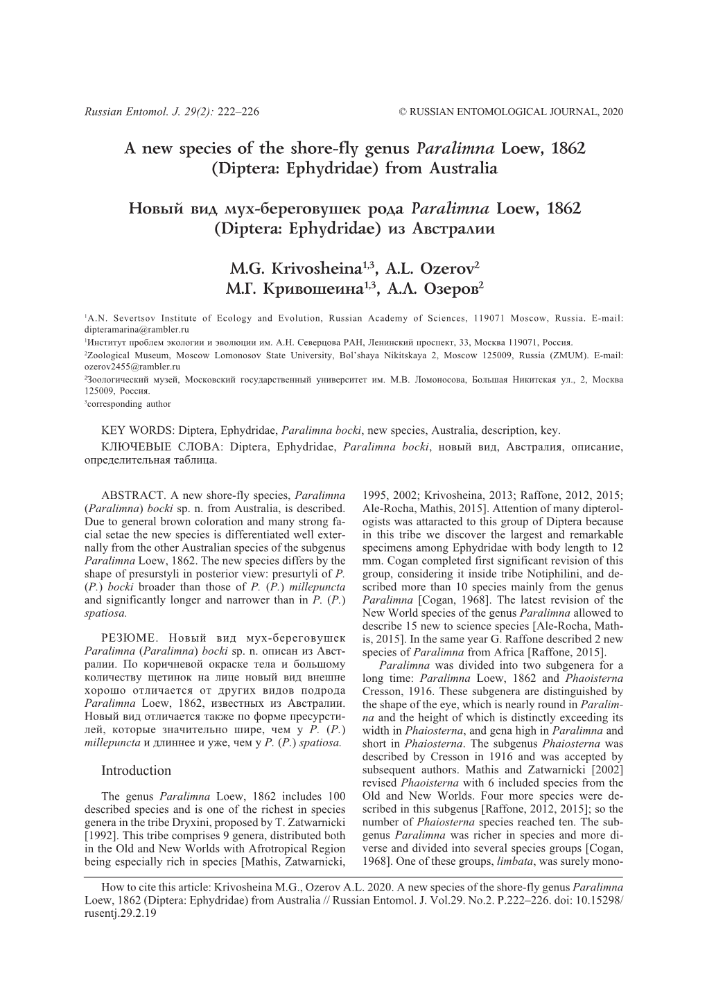 A New Species of the Shore-Fly Genus Paralimna Loew, 1862 (Diptera: Ephydridae) from Australia