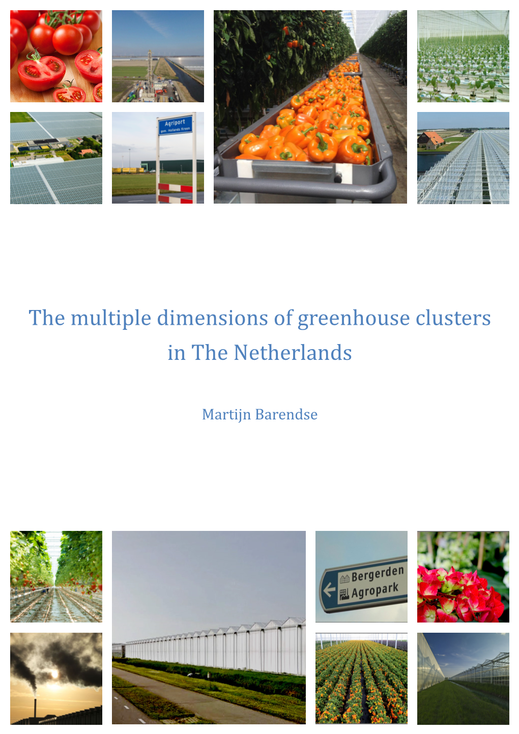 The Multiple Dimensions of Greenhouse Clusters in the Netherlands